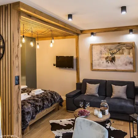 Tatrytop Zakopianska Appartement *